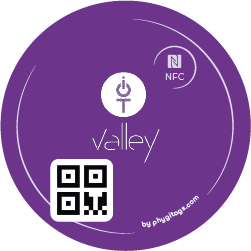 IOT Valley connected dome